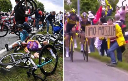 Tour de France fan ordered to pay ONE EURO fine after causing huge crash which saw rider break both his arms