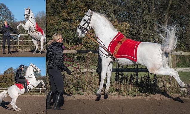 Tuli the &apos;untrainable&apos; horse sold for £1 and is now a dressage master
