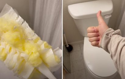 You’ve been cleaning your toilet all wrong – the right way means you won’t be rubbing gunk all over it