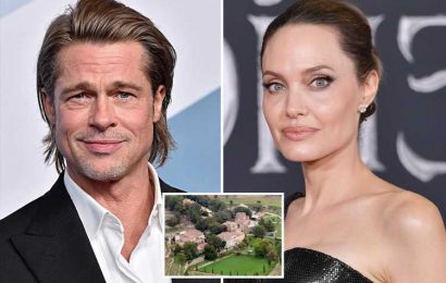 Angelina Jolie accuses Brad Pitt of stopping the sale of their winery after she was seen on dinner date with The Weeknd