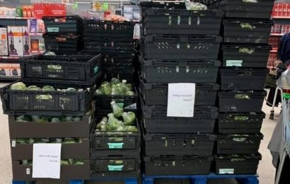 Asda is giving away HUGE boxes of Christmas vegetables free of charge – and shoppers are very excited