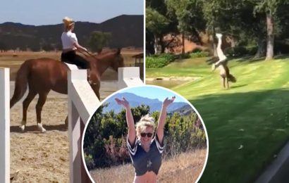 Britney Spears cartwheels in new post celebrating conservatorship victory & calls to 'Free Britney' for first time EVER