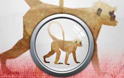 Chinese Zodiac Year of the Monkey: Characteristics traits, meaning and compatibility