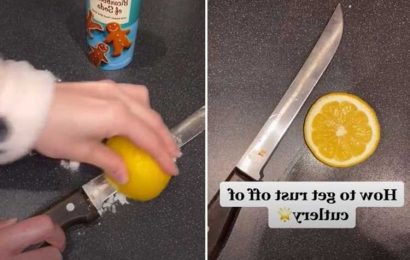 Cleaning fanatic shows how to remove rust from your cutlery without ANY special products