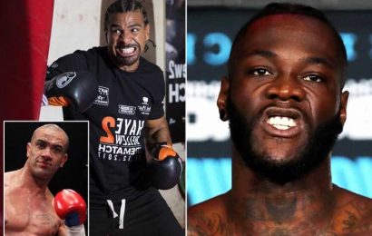 Deontay Wilder 'wiped the floor' with David Haye during sparring session despite Brit heavyweight 'catching him clean'