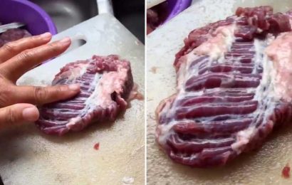 Diners horrified after slab of raw meat THROBS and twitches on the dinner table