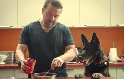 Does the dog in After Life belong to Ricky Gervais?