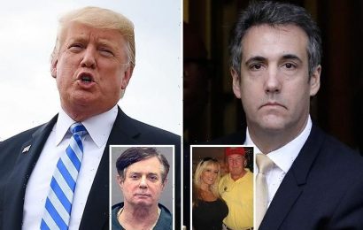 Donald Trump’s former lawyer Michael Cohen pleads GUILTY to paying Stormy Daniels for her silence 'at the direction of US president'