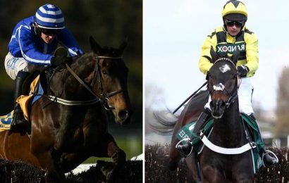 Energumene and Shishkin still on course for mouth-watering clash at Ascot in Champion Chase rehearsal
