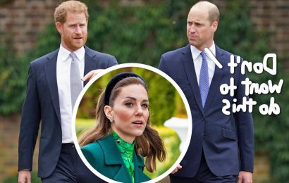 'Furious' Prince William REFUSED To Attend Diana Statue Unveiling With Harry – Until Kate Middleton Stepped In!