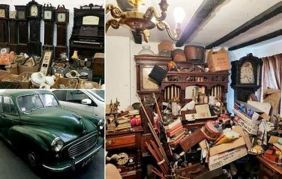 Hoarder&apos;s collection is tipped to sell for over £50,000 at auction