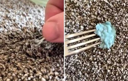 I’m a pro carpet cleaner – how to get sticky gum out of carpet with a cheap and common kitchen ingredient
