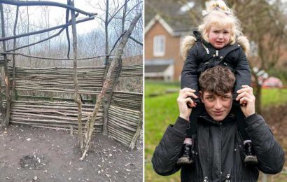 I've been threatened with legal action for building my three-year-old daughter a den… it's health & safety gone mad