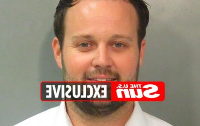 Josh Duggar demands a new trial after GUILTY child pornography verdict & claims he 'didn't LOOK at the video & photos'
