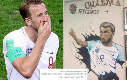 Kane mural mercilessly mocked online as looking like 'something out of Hills Have Eyes'