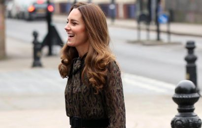 Kate Middleton’s animal print dress is currently 50% off – here’s where to buy it
