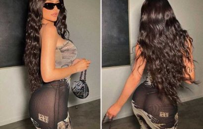 Kylie Jenner flaunts bare butt in see-through sarong as she drops hints she's not pregnant with Travis Scott's baby