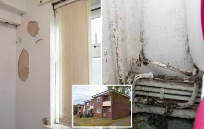 Locals kicked out of flats so disgusting block 'has to be BULLDOZED' after complaining for months of damp and mould