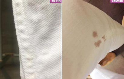 Mum reveals how MILK makes red wine-stained clothes look ‘new again’