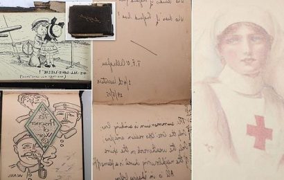 Nurse&apos;s WWI journal to be auctioned after 106 years