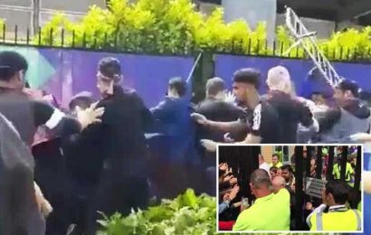 Pakistan and Afghanistan fans in violent clash at the Cricket World Cup as hooligans use security barrier and flags as weapons