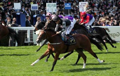 QIPCO 2000 Guineas contender Rajasinghe completes an 'extraordinary' piece of work for trainer Richard Spencer with Adam Kirby booked to ride the colt at Newmarket