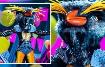 Rockhopper’s identity ‘worked out’ by Masked Singer fans – and it’s not Zendaya
