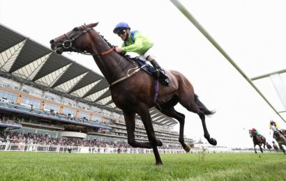 Royal Ascot Gold Cup hero Subjectivist fighting to save career after 'devastating' injury