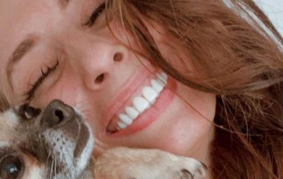 Stacey Solomon teases she may be getting a new dog after previous pet’s passing