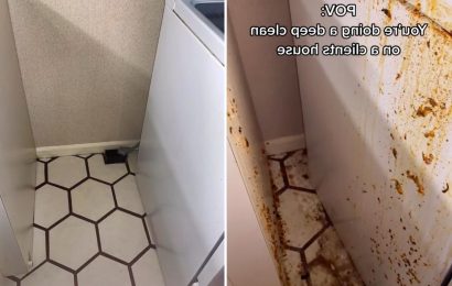 The spot you’ve been putting off cleaning all year that you really should clean more often