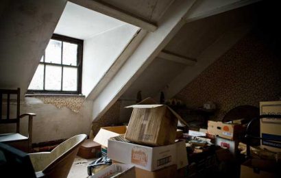 The things you should NEVER store in the attic – from Christmas decorations to electronics