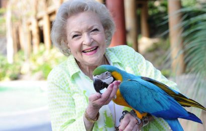 Why Betty White Once Said She Was 'Not Into Animal Rights'