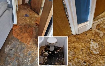 Woman’s horror as home is flooded with POO after toilet exploded sending weeks of sewage flowing out
