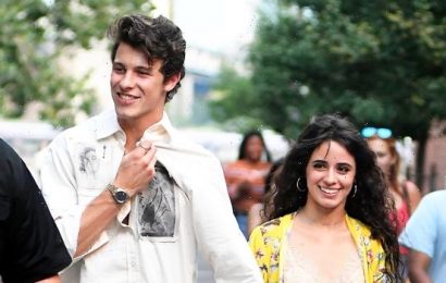 Camila Cabello Teases Lyrics From ‘Bam Bam’ & Fans Think It’s About Shawn Mendes