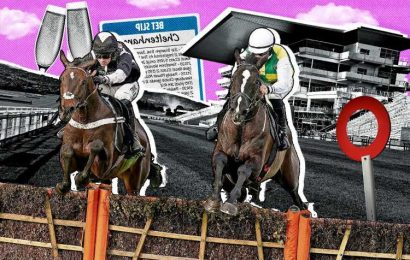 Cheltenham Festival tip: Templegate says MONSTER horse is top British hope