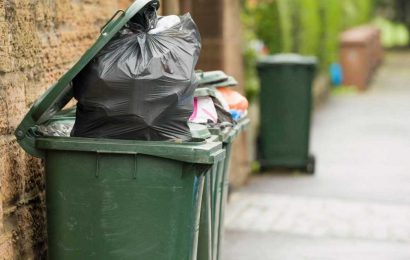 I shelled out £90 on a new wheelie bin… but my neighbours STOLE it and replaced mine with a stinky one