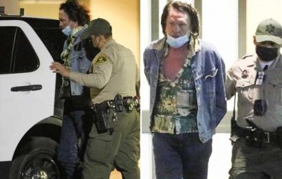 Michael Madsen is arrested just weeks after Kill Bill star's son died in suspected suicide