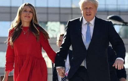 One of Carrie Johnson&apos;s closest allies leaves Downing Street