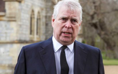 Prince Andrew’s lawyers hunting for women ‘who can discredit Virginia’ in ‘high risk’ legal gamble