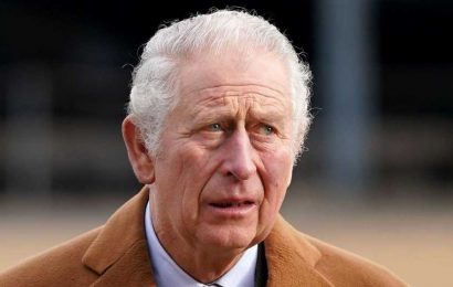 Prince Charles' Charity Investigated Amid Cash-for-Honors Allegations