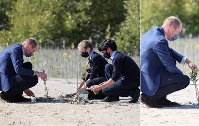 Prince William plants a tree as he begins his one-day visit to the UAE