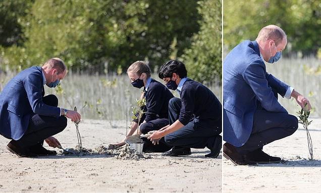 Prince William plants a tree as he begins his one-day visit to the UAE