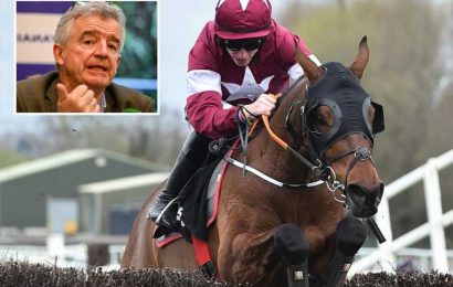 Ryanair boss Michael O'Leary should look at himself in mirror after reckless rant about Tiger Roll and Grand National