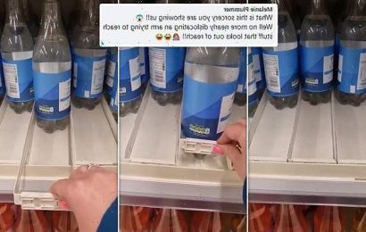 Supermarket shelves have a gadget for reaching items
