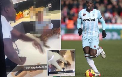 Thousands complain to RSPCA after West Ham ace Kurt Zouma filmed KICKING and slapping his pet cat in horrific video