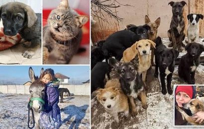 Caretakers at Ukrainian rescue shelters refuse to leave animals behind
