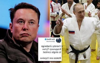 Elon Musk challenges Vladimir Putin to a fight for Ukraine