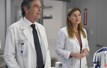 'Grey's Anatomy': Will Meredith Grey Move Away for Another Job?