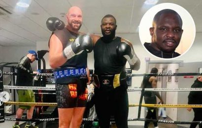 'It's clear to see' – Tyson Fury showing his class in 'excellent' spars with Martin Bakole ahead of Dillian Whyte fight