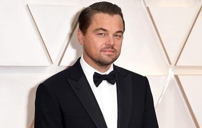 Leonardo DiCaprio donates £7.6m to fund for Ukraine – where his grandmother was born